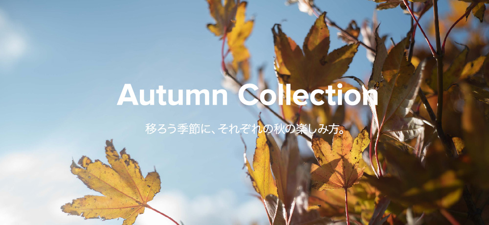 GENTEMSTICK Autumn Collection