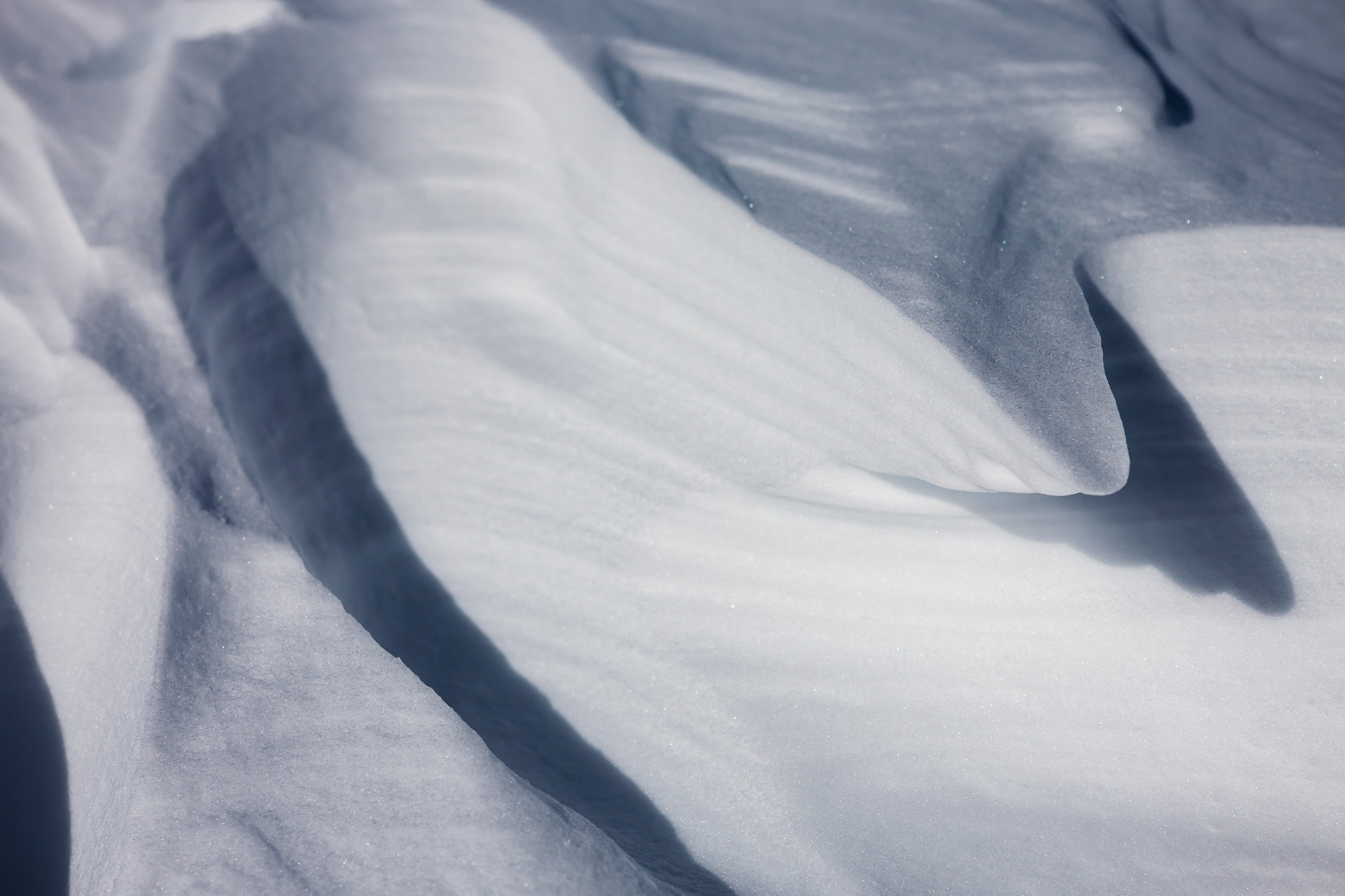 HARD GOODS - GENTEMSTICK Official Web | THE SNOWSURF SHOP