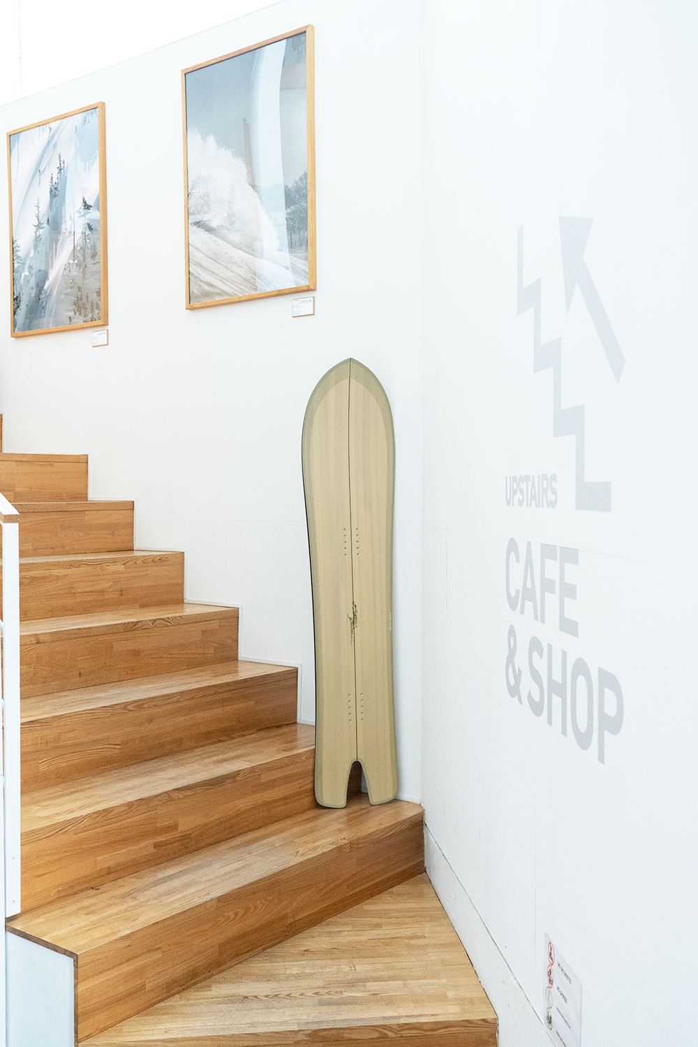 24-25 SPOON FISH 141