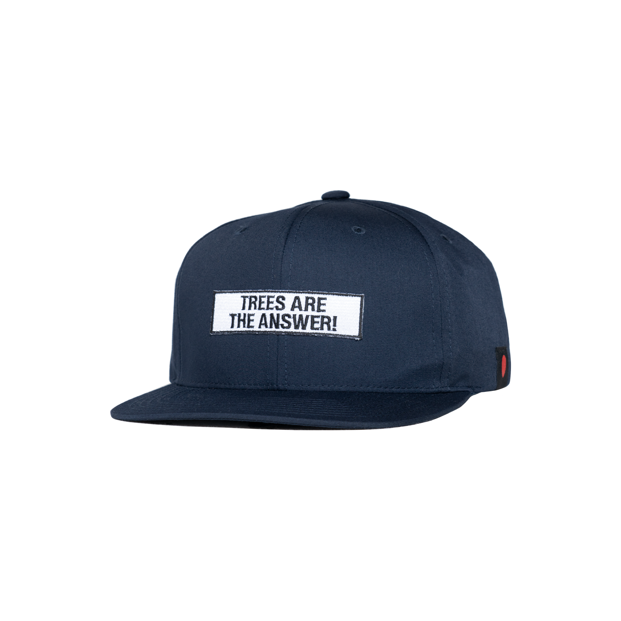 TREES ARE THE ANSWER SNAPBACK CAP