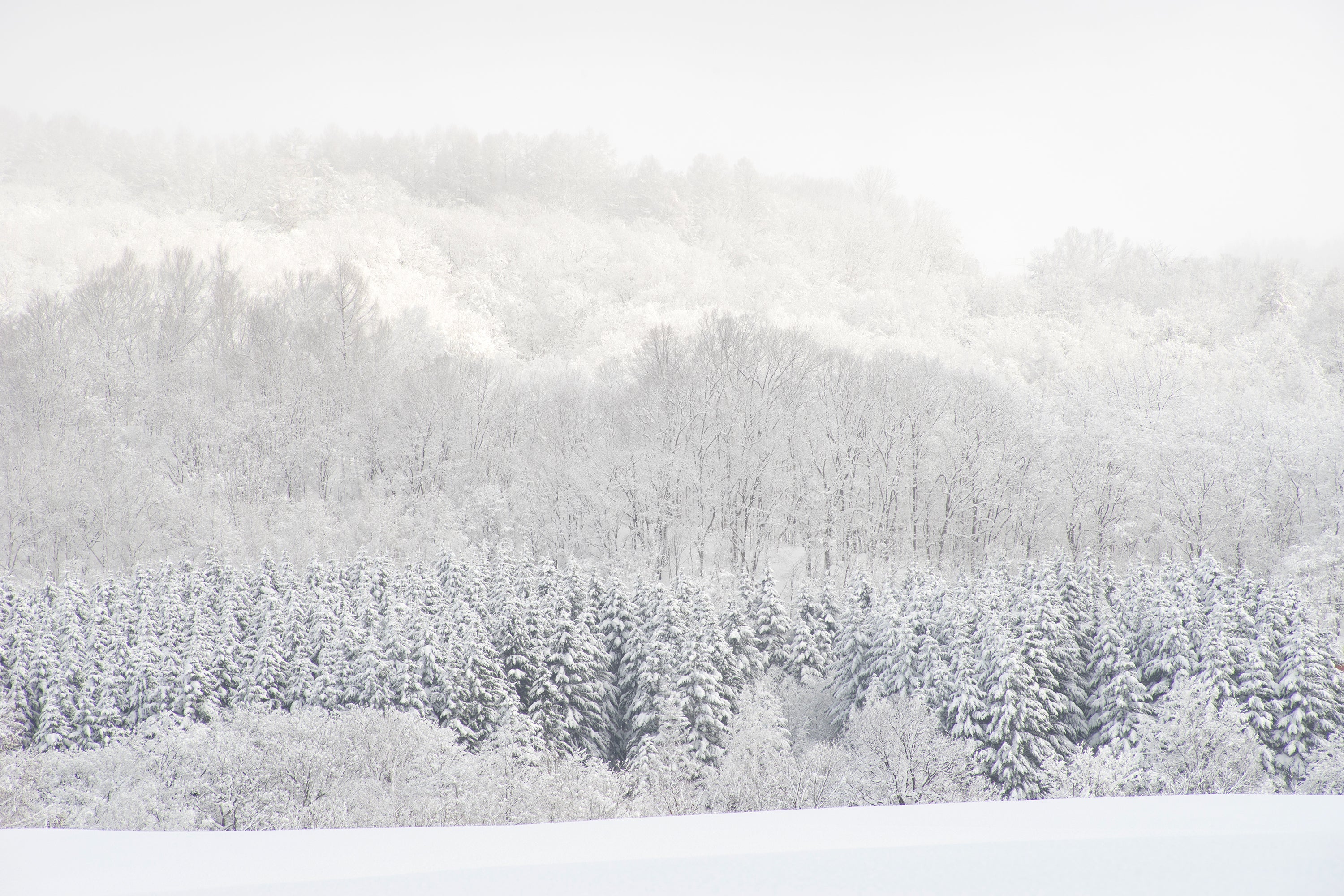 FACTORY TUNE REPAIR - GENTEMSTICK Official Web | THE SNOWSURF SHOP