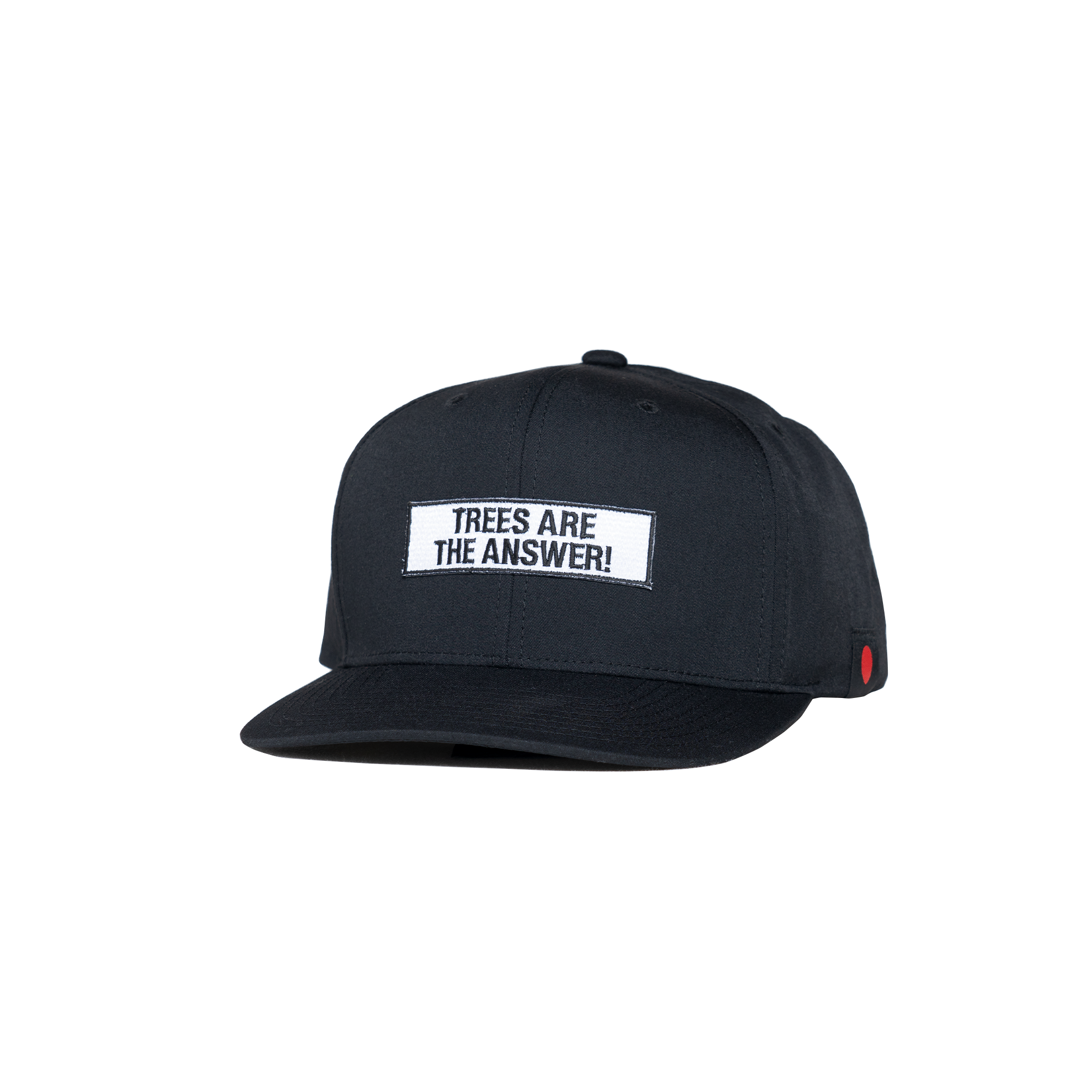 TREES ARE THE ANSWER SNAPBACK CAP