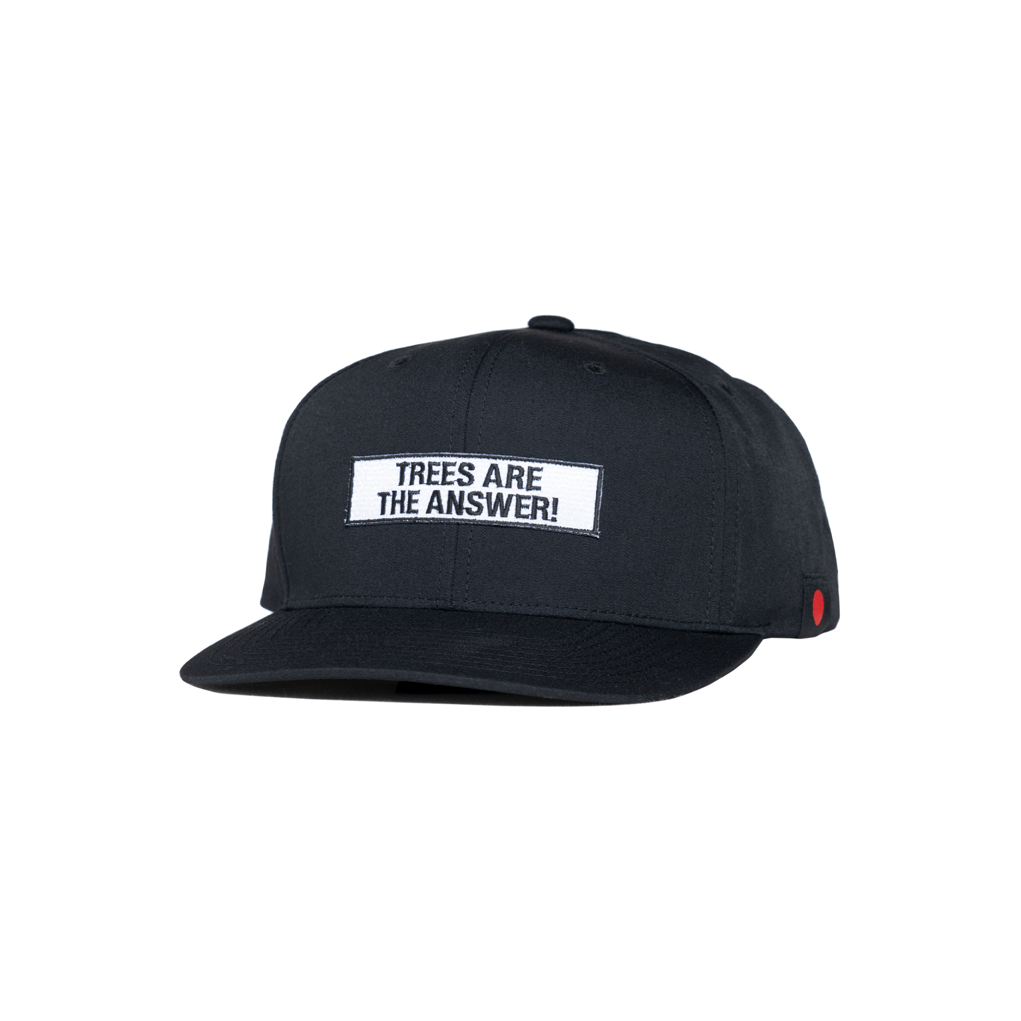TREES ARE THE ANSWER SNAPBACK CAP